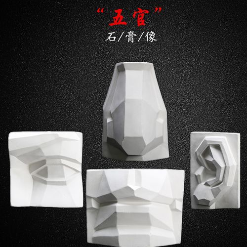 石膏五官模型切面美术用品石膏像教具五官石膏像鼻子眼睛耳朵摆件