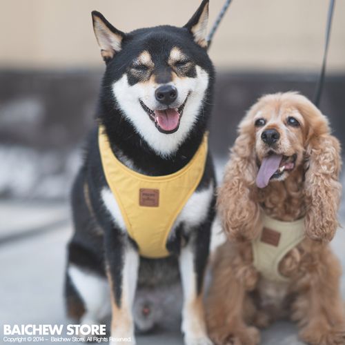 白猪商店 韩国puppy gallery宠物胸背牵引小型犬中型