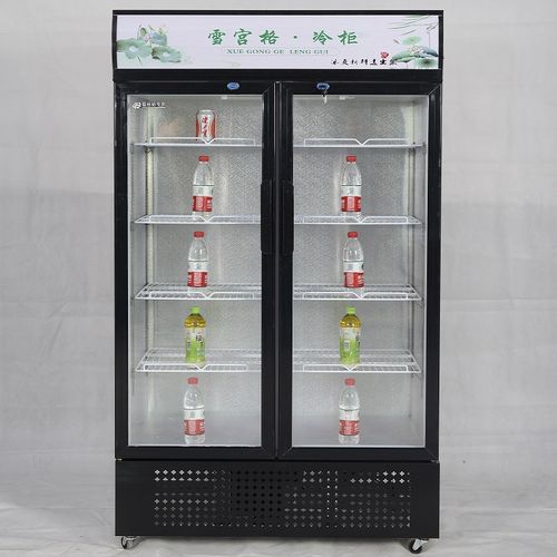 新款双门冰箱饮料柜y保鲜柜冷藏单门展示柜商用超市冰箱立式冷柜