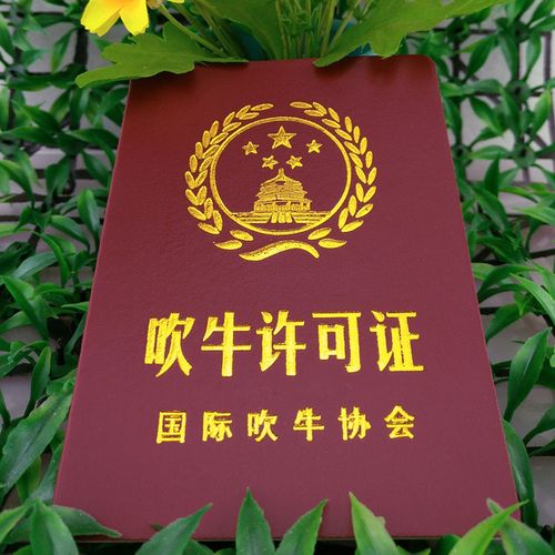 吹牛许可证 搞笑证书 个性创意证书 整蛊搞怪礼品 千奇百怪礼物