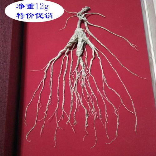 东北长白山人参15年野生林下参移山参特产干货品质保证全国包邮