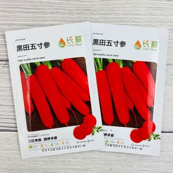 日本三红胡萝卜种子高产秋四季紫黄水果萝卜种籽五寸蔬菜种孑大全 长
