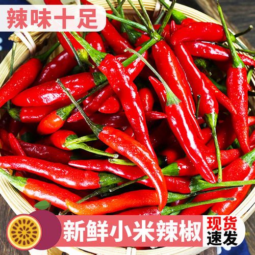 家乡人朝天小米椒新鲜批发0.5-5斤农家超辣红辣椒泡椒野山椒商用