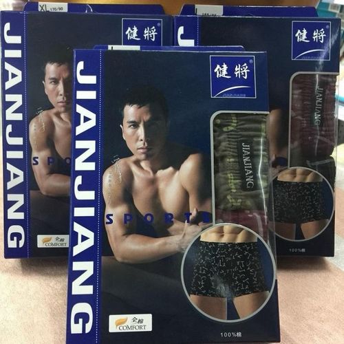 两条装甄子丹健将男士内裤全棉纯棉男士短裤平角内裤健将内裤青少