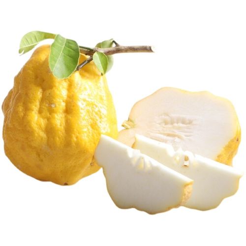 云南新鲜香橼果 佛手柑 香缘果 3斤