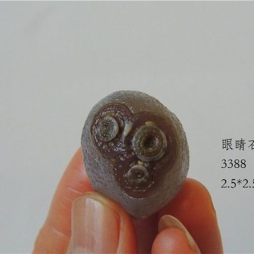 内蒙阿拉善奇石戈壁观赏精品石头天然地表原石玛瑙眼睛石象形石