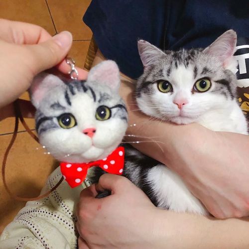 热卖抖音同款羊毛毡猫咪照片定制英短虎斑渐层猫仿真头像钥匙扣