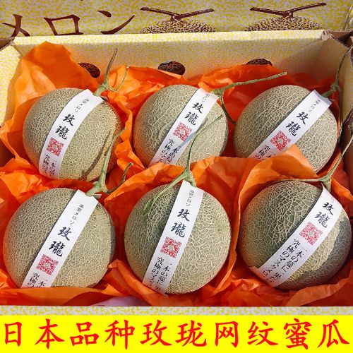 日本品种玫珑网纹蜜瓜礼盒6个装静冈网纹瓜当季新鲜海南玫珑蜜瓜