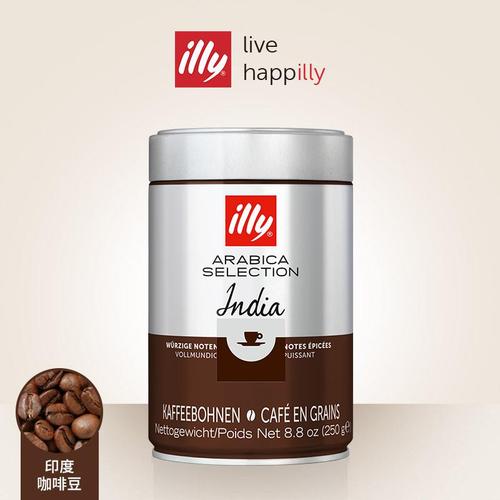illy手冲咖啡豆印度250g 原装进口香料黑巧克力
