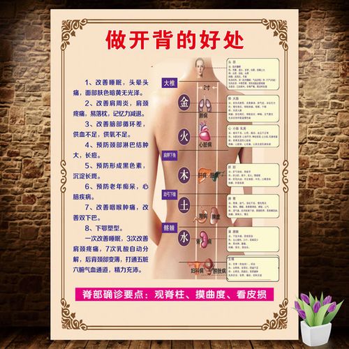开背的好处做背的功效背部经络精油开背推背背部经络美容院装饰画