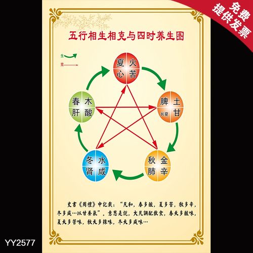 五行相生相克与四时养生图贴纸 中医传统理疗文化海报 墙贴挂图画