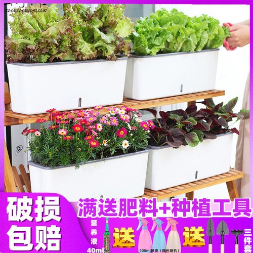 窄边阳台花盆种菜盆塑料长方形多肉植物种植箱室内懒人种菜花盆