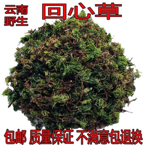 2021新货【官方旗舰】回心草 云南中药材250g新鲜晒【优选】 图片色