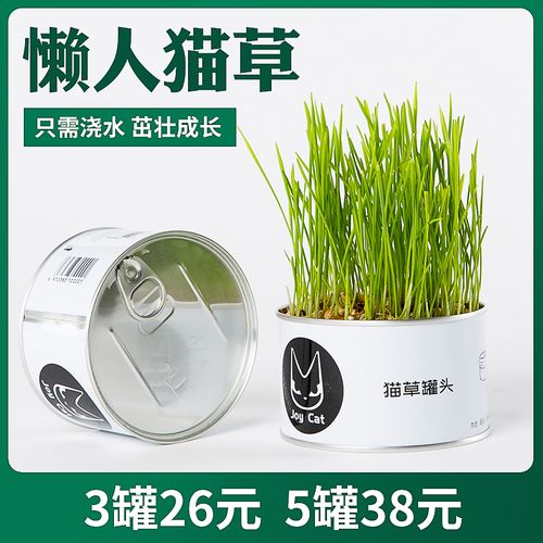 猫草罐头joycat懒人水培盆栽猫薄荷种子种植盆簙荷化毛土壤已种好