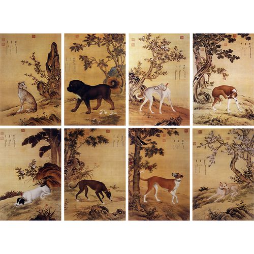 郎世宁工笔画白描底稿斑锦彪雪爪庐一套十幅尺寸40*60厘米gg01