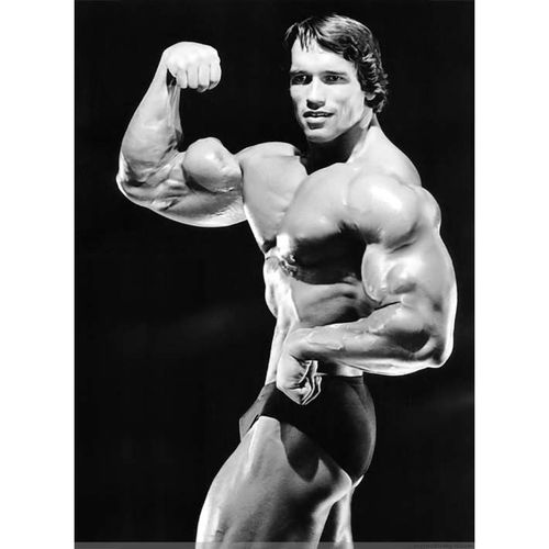 施瓦辛格健美先生猛男肌内男海报健身房俱乐部运动馆励志装饰画3
