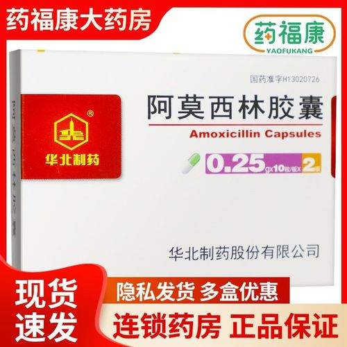 华北制药 阿莫西林胶囊 0.