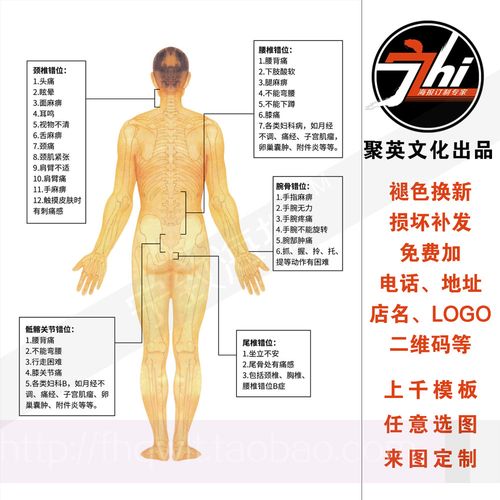 腰椎腕骨骶髂关节尾椎颈椎错位脊椎脊柱经络经穴人体关节疼痛887