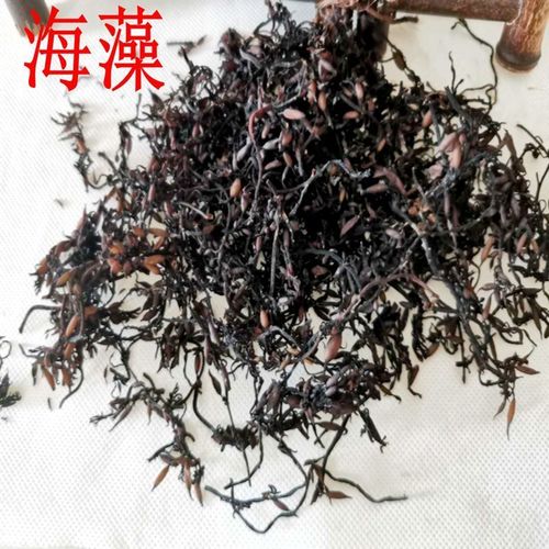 中药材海藻  海藻干天然新货 可磨海藻面膜粉