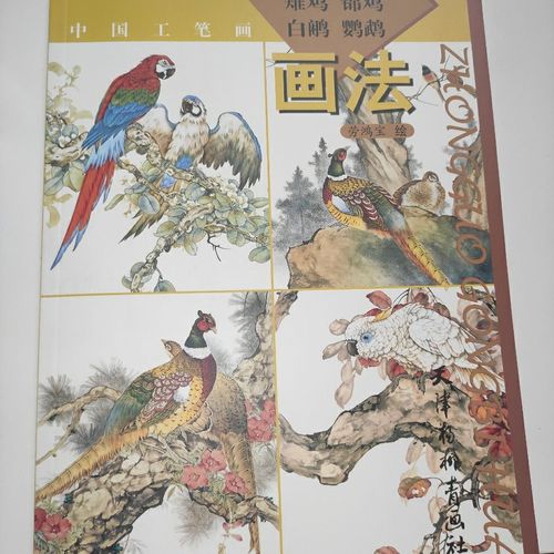 中国工笔画画法步骤雉鸡锦鸡白鹇鹦鹉画法国画禽鸟天津杨柳青