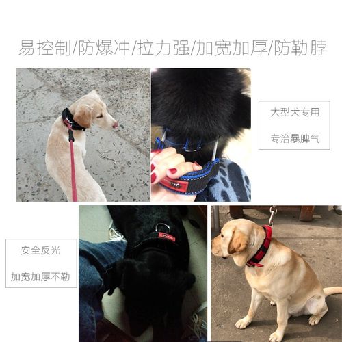 冲狗狗牵引绳项圈脖套颈圈金毛拉布拉多中大型犬遛狗绳狗链子