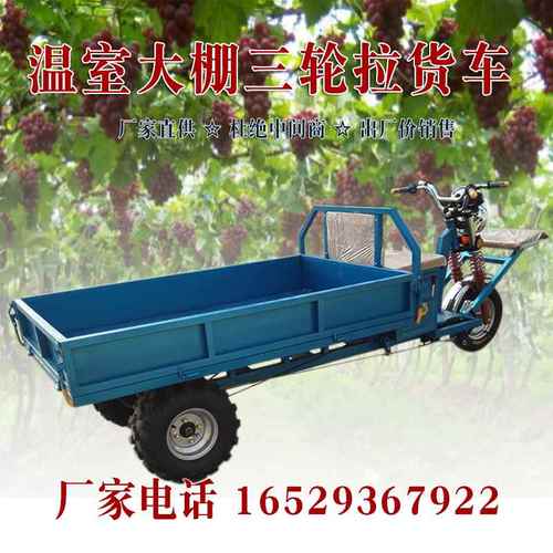 农用果园搬运电动三轮车正倒骑运输车大棚运输工厂物流周转电动车