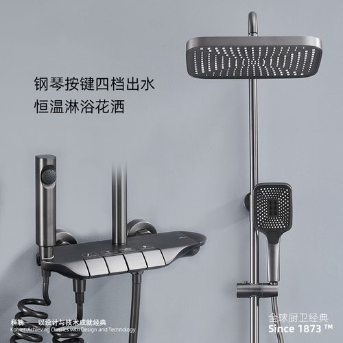 德国当代恒温淋浴花洒套装浴室全铜枪灰色钢琴键按键数显增压喷头