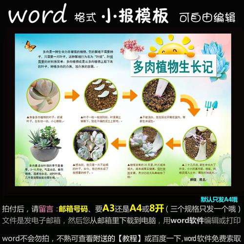 z106电子手抄报word模版简报学生简报多肉植物生长记小报