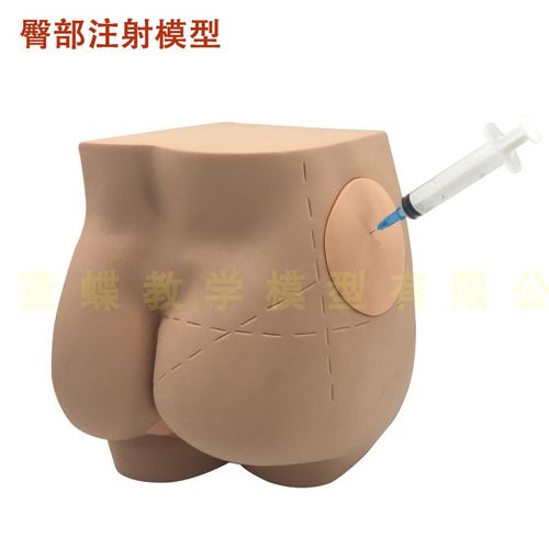 臀部注射训练模型 臀部注射模型 臀部穿刺护理教学模型包邮!