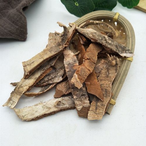 木兰皮 精选袋装中药材   姜朴 500克【木兰皮 实惠装】