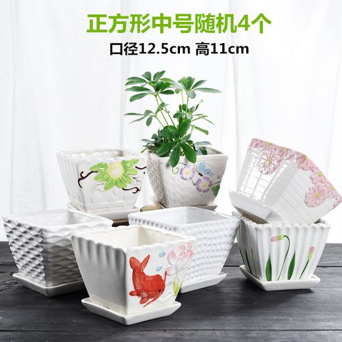 树绿萝植物家用蝴蝶兰吊兰小多肉花盆批发 正方形中号随机4个带托盘