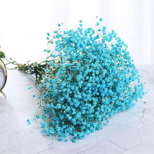 蓝色 满天星(无赠送) 含a款瓶