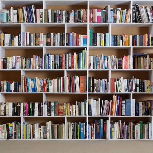 2022新款书架背景布 书房书架背景布主播直播背景布快手抖音背景布