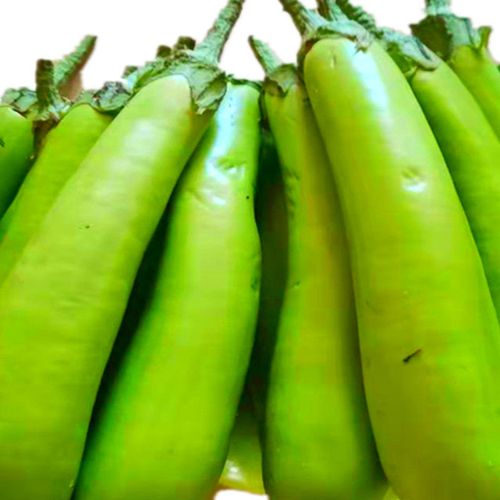东北茄子线茄子东北特产新鲜绿茄子长茄子农家自种新鲜蔬菜 3斤