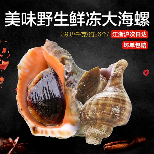 采极鲜海螺冷冻野生海螺1kg内脏已去除刺身海鲜新鲜海螺肉25-30只