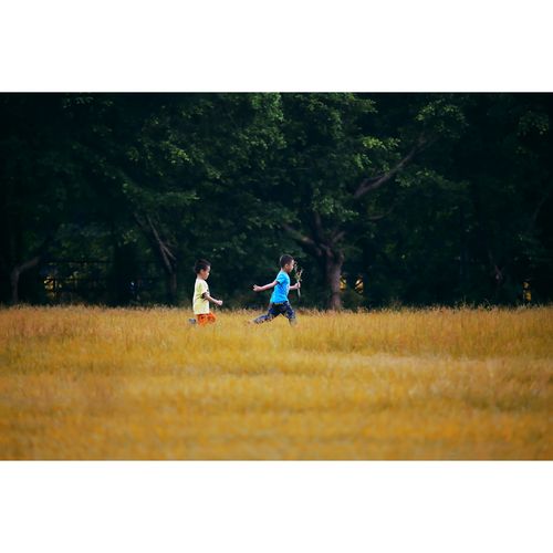 原创高清纪实摄影照片-快乐童年/儿童摄影(1张) 摄影作业素材图片