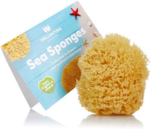 sea sponge for bathing - 100% natural - 4  (large) - soft  s