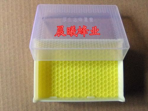 优质巢蜜盒 带巢础 巢蜜格250g塑料蜂巢蜜盒蜜蜂产蜂巢蜜的盒子