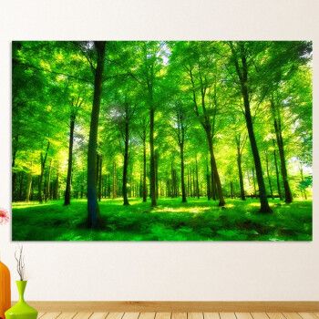 skids树林森林田园风光海报公园自然山水风景装饰贴墙画 l 48 24寸 40
