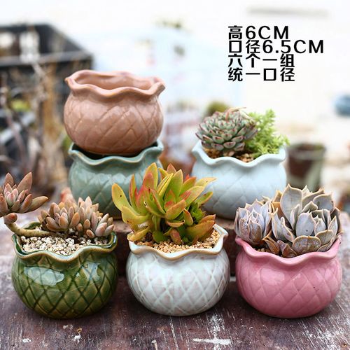 韩式唯美多肉花盆肉肉植物多肉花盆简约地中海花盆个性创意大花盆