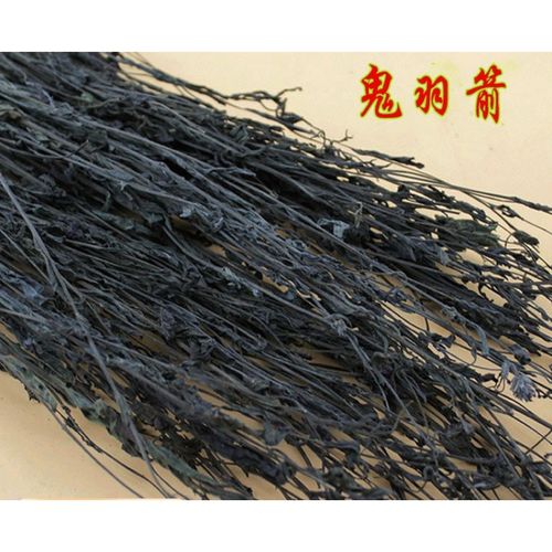 鬼羽箭新货黑草 黑马草中药材 羽箭草 黑骨草克草250g