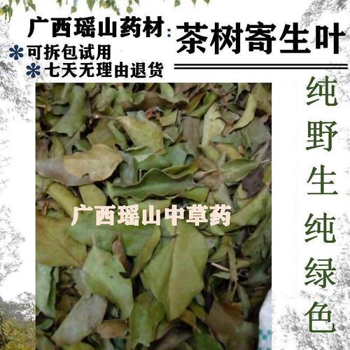 野生油茶树寄生叶 茶树寄生叶 茶仔树白花茶寄生叶 纯叶干品500g