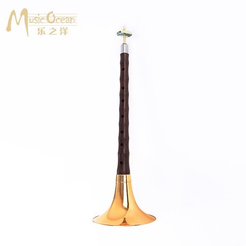 降b调花梨木乐器大g调初学者联系专业演出成人大号吹奏乐器全套配件