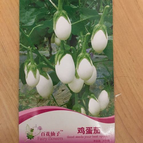 白蛋茄种籽白蛋鸡蛋茄金银盆栽四季春季农家室内白茄子种子蔬菜籽【5