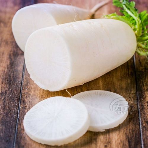 5/9斤当季新鲜生吃甜脆水果胡萝卜农家自种蔬菜 5斤白玉萝卜【精选】