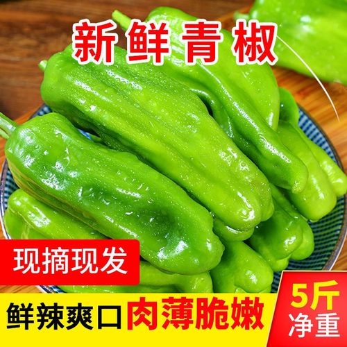 山东农家自种新鲜虎皮薄皮青辣椒青椒菜椒牛角椒5斤时令蔬菜现摘