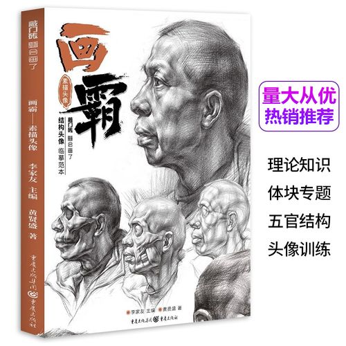 画霸素描头像结构头像临摹范本2020敲门砖黄贤盛人物五官头骨肌肉体块