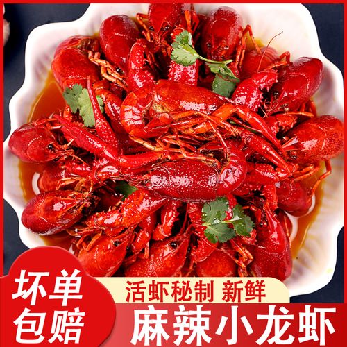麻辣小龙虾香辣蒜香蓉十三香味加热即食活虾秘制大号虾尾海鲜熟食