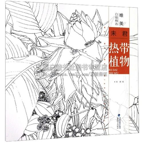 唯美白描精选 未君 热带植物 工笔画花卉技法白描底稿勾线稿毛笔画谱