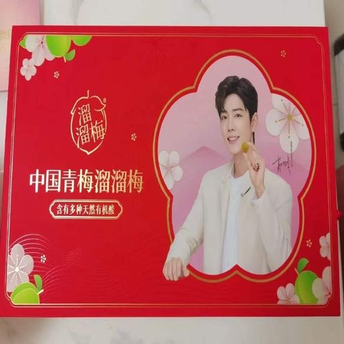 肖战溜溜梅零食溜溜梅礼盒中国青梅溜溜梅肖战代言溜溜梅溜溜梅